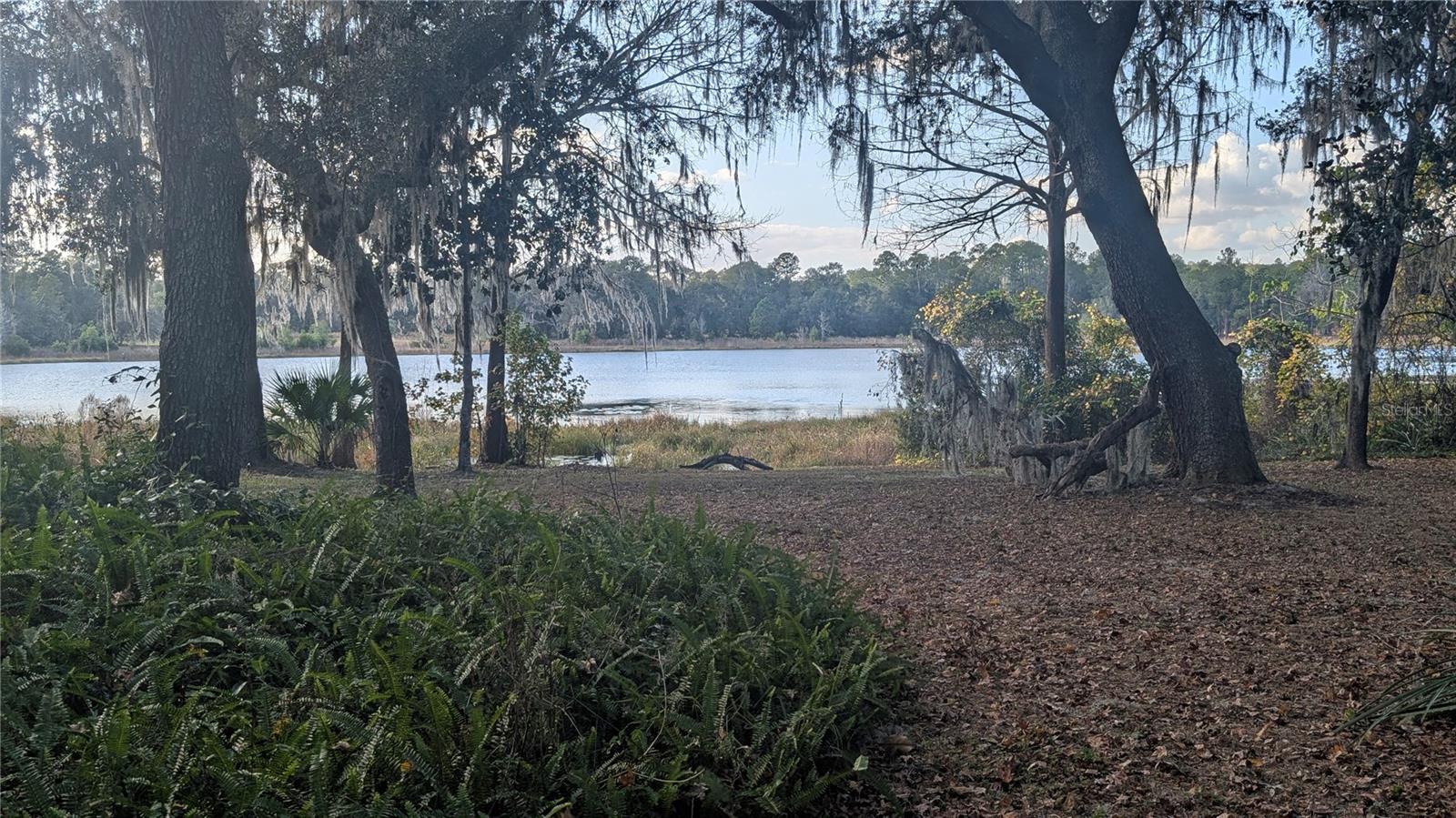 Image 57 of 66 For 9350 170th Avenue Road