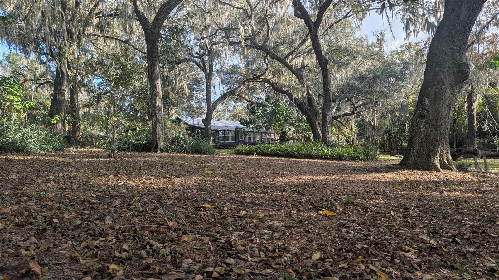 Image 60 of 66 For 9350 170th Avenue Road