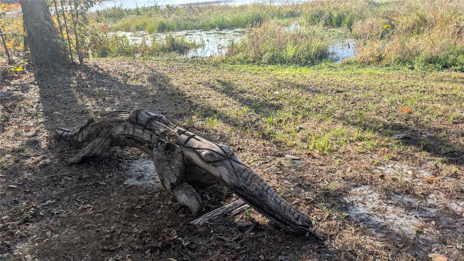 Image 65 of 66 For 9350 170th Avenue Road