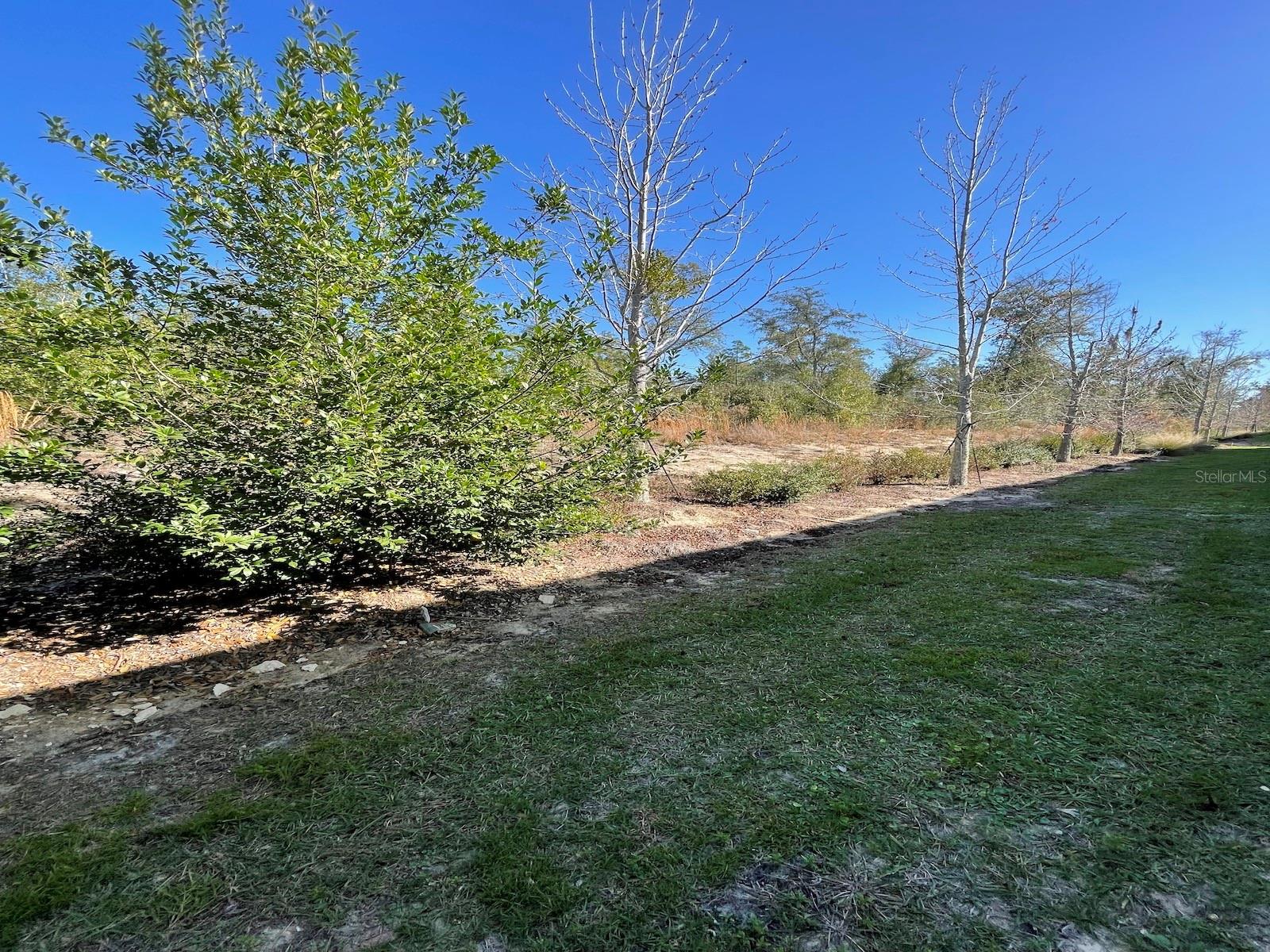 Image 12 of 33 For 6579 81st Loop