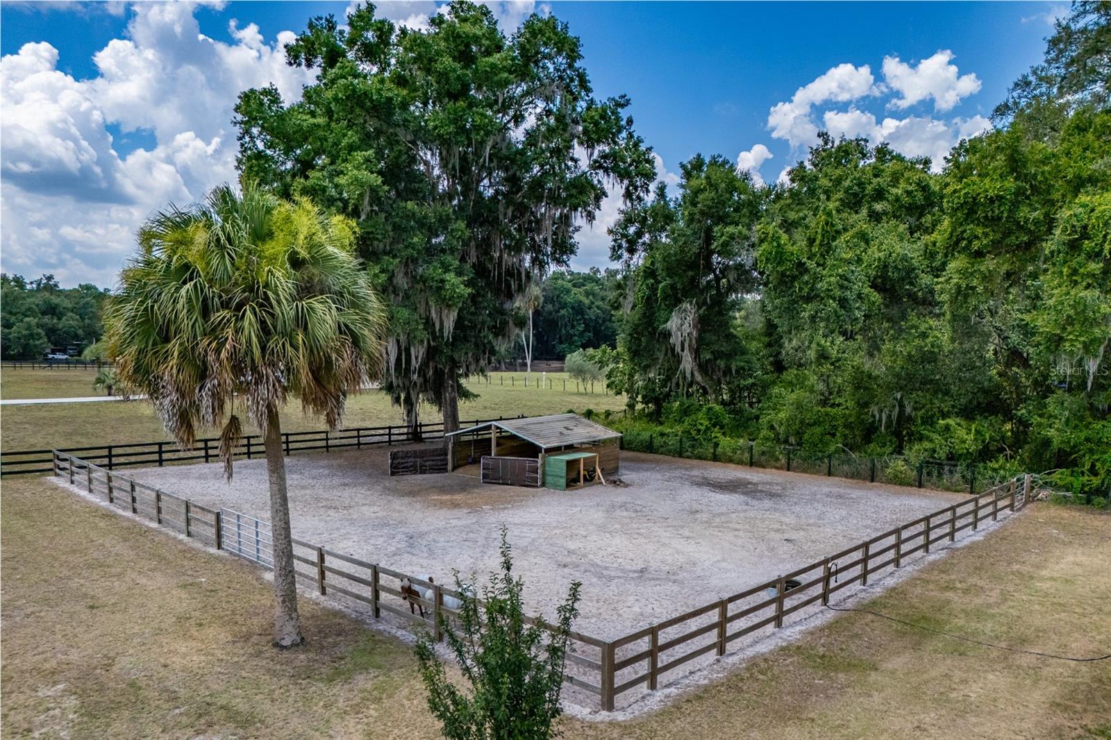 Image 8 of 54 For 13300 38th Avenue