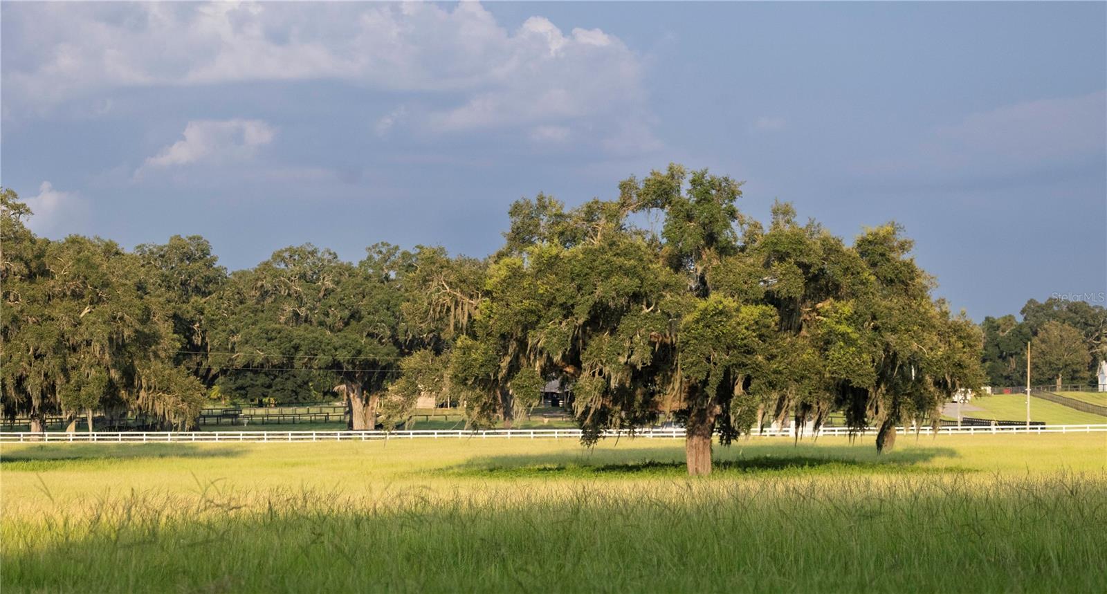 Image 19 of 47 For 12750 Highway 40