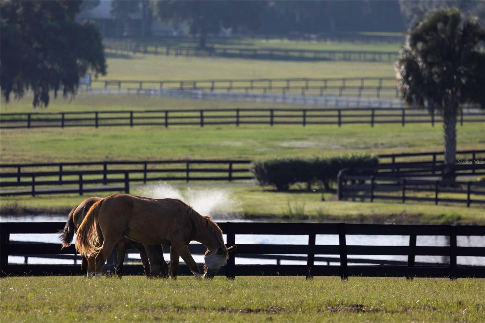 Image 25 of 47 For 12750 Highway 40