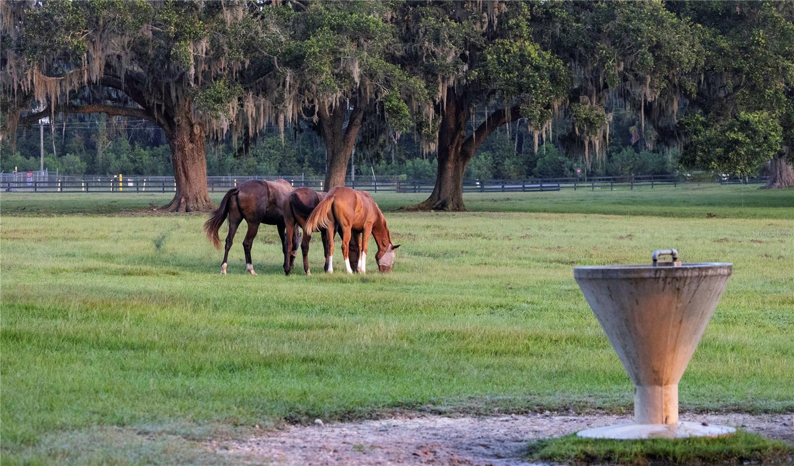 Image 45 of 47 For 12750 Highway 40