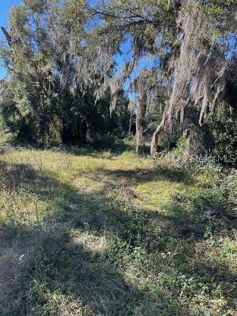 Image 5 of 12 For 702 Marion Ave