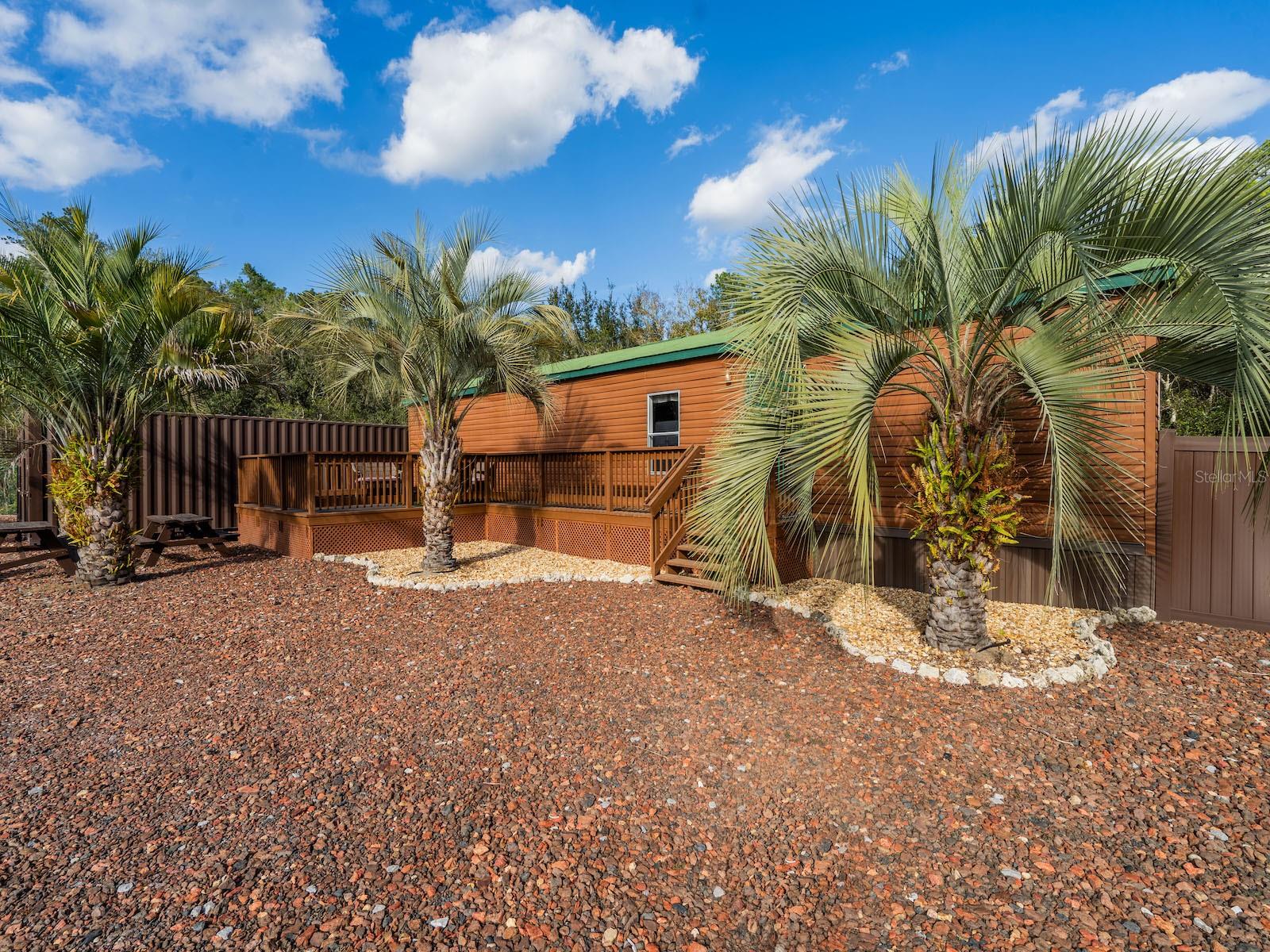 Image 48 of 94 For 5600 Nfr 5  