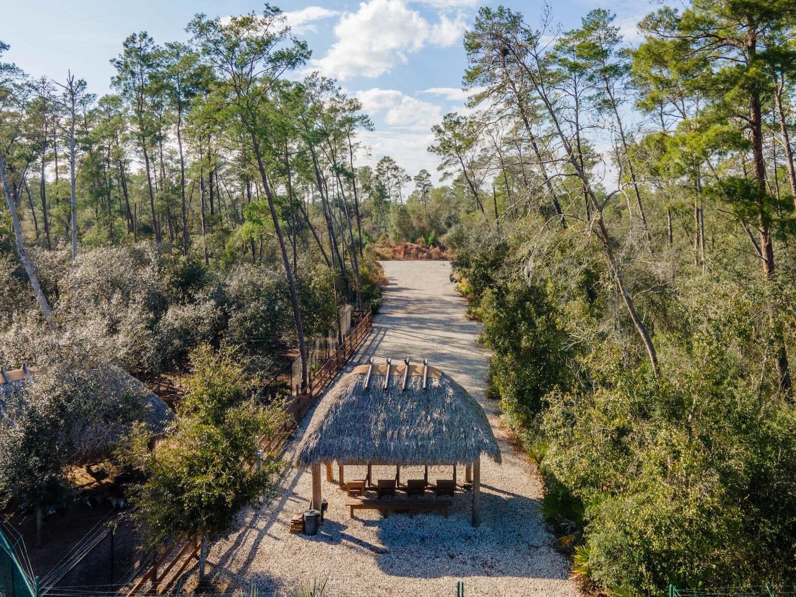 Image 75 of 94 For 5600 Nfr 5  