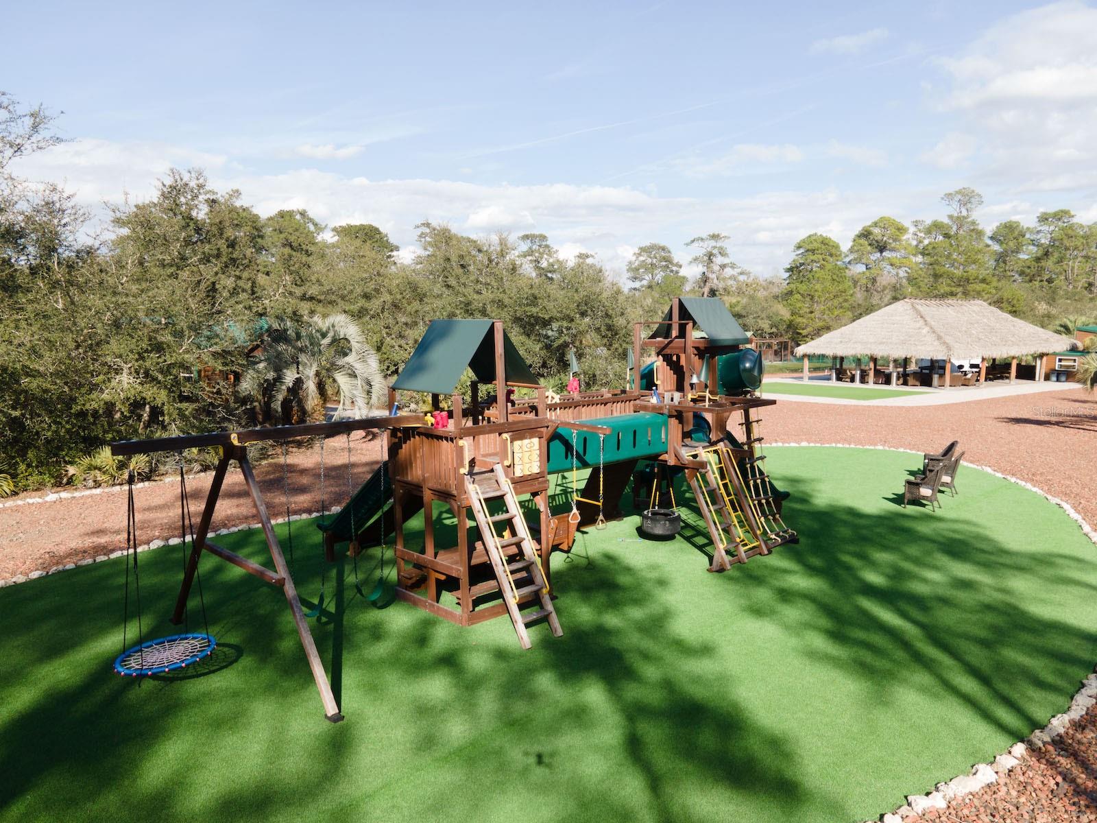 Image 78 of 94 For 5600 Nfr 5  