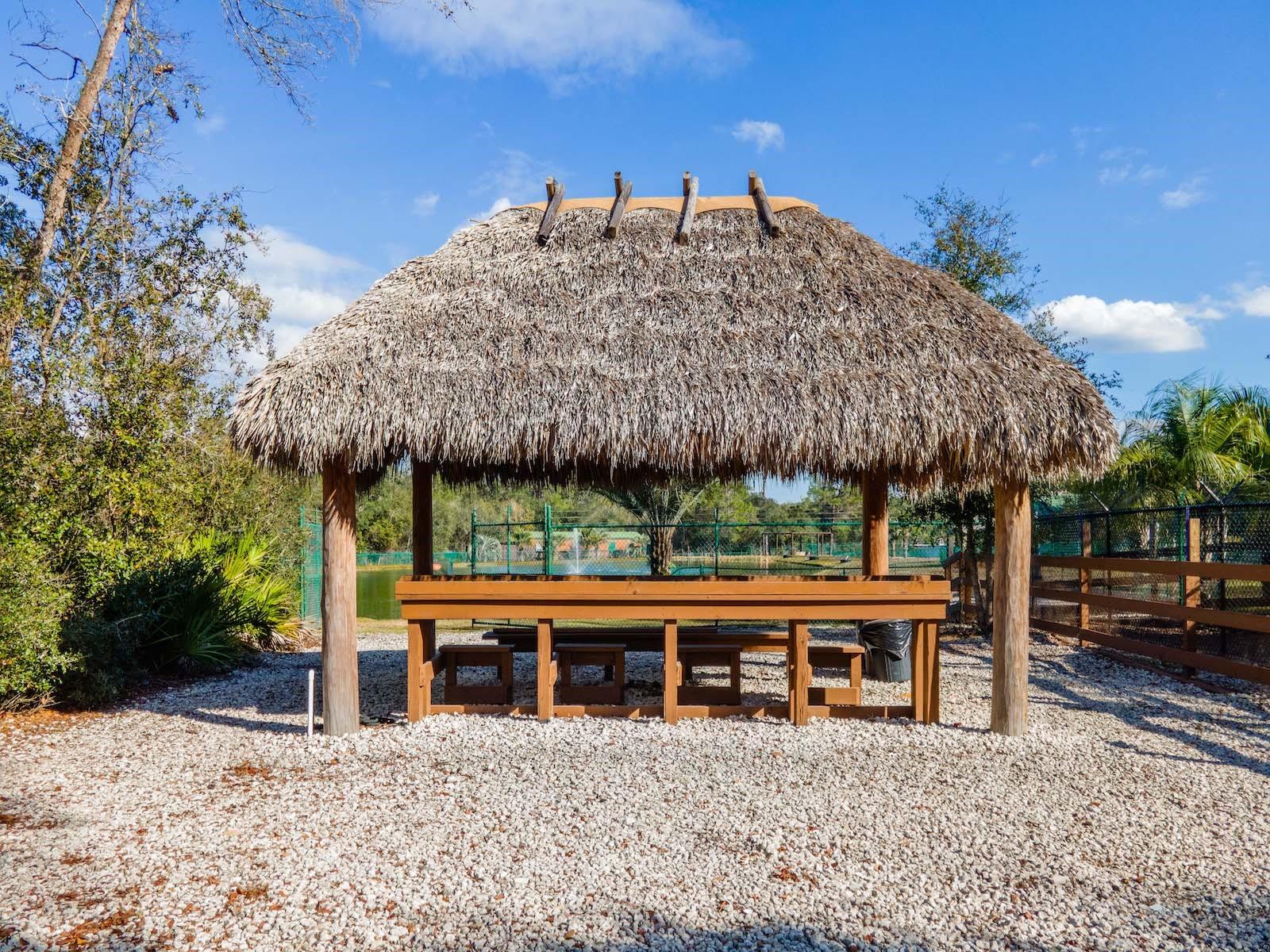 Image 79 of 94 For 5600 Nfr 5  