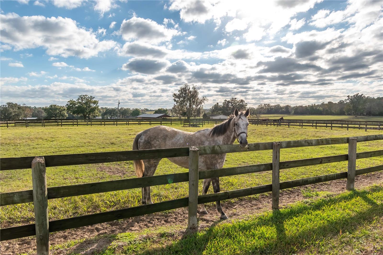 Image 48 of 82 For 5100 Hwy 329