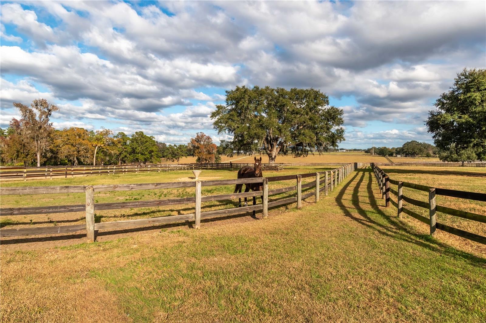 Image 59 of 82 For 5100 Hwy 329