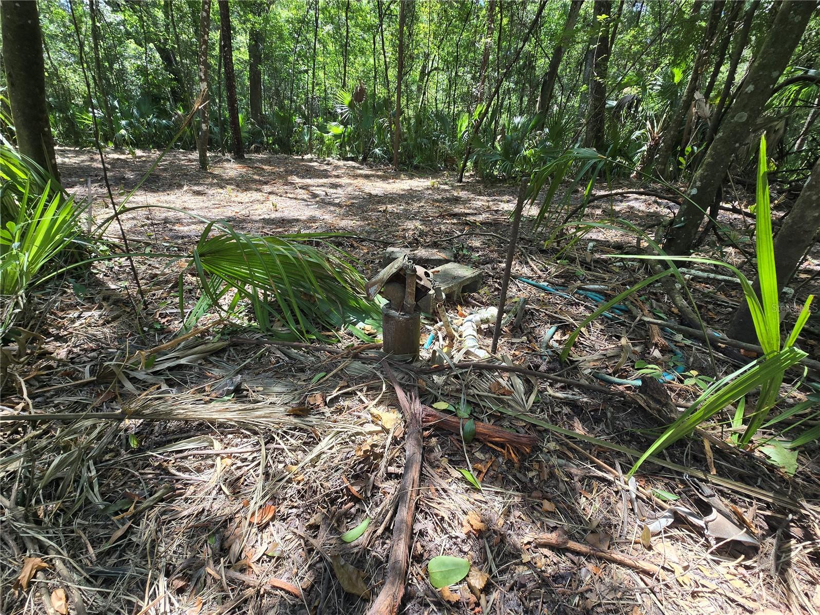 Image 10 of 26 For 2435 Jennifer Terrace