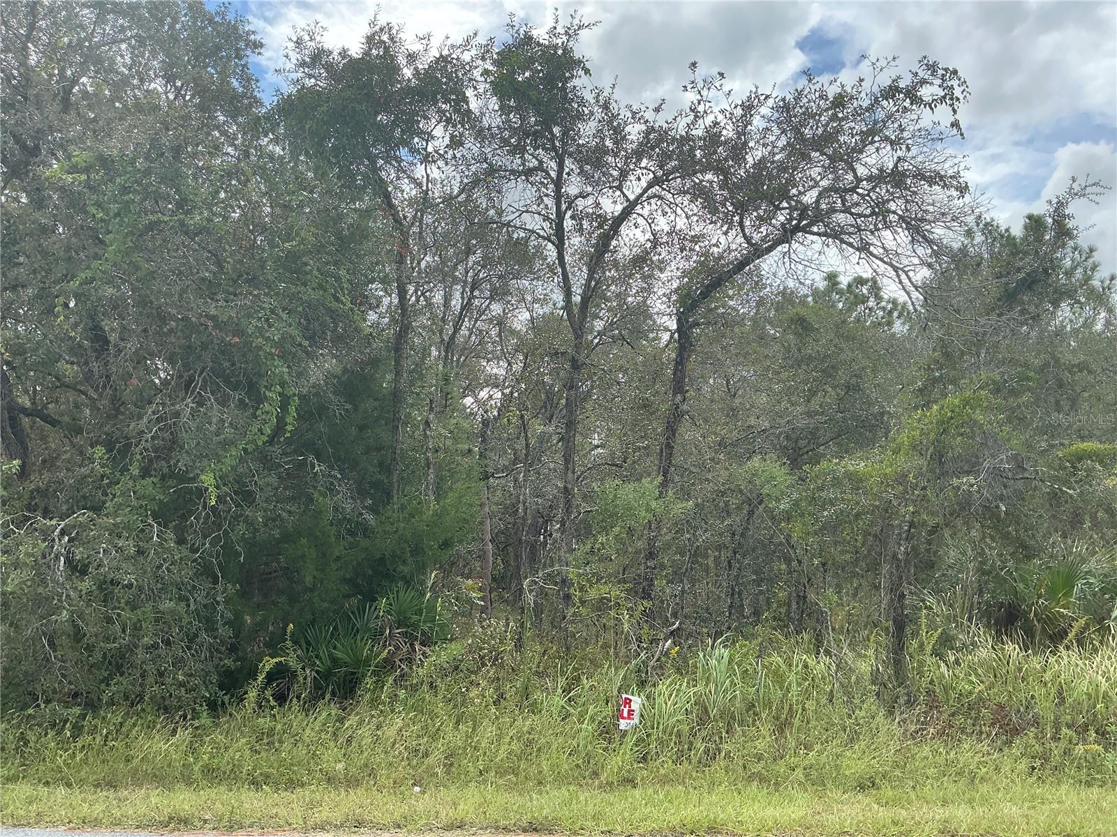 Details for 11434 Poorwill Avenue, BROOKSVILLE, FL 34614