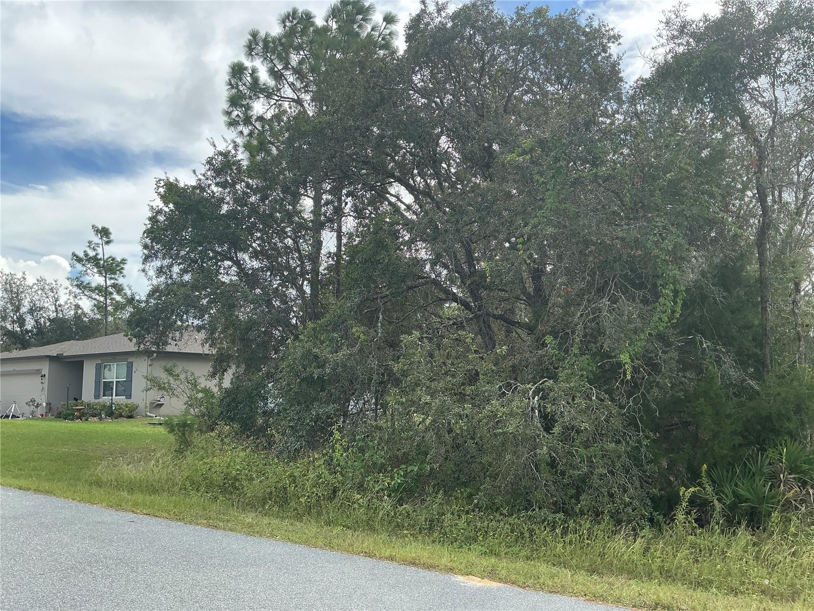 Image 2 of 6 For 11434 Poorwill Avenue