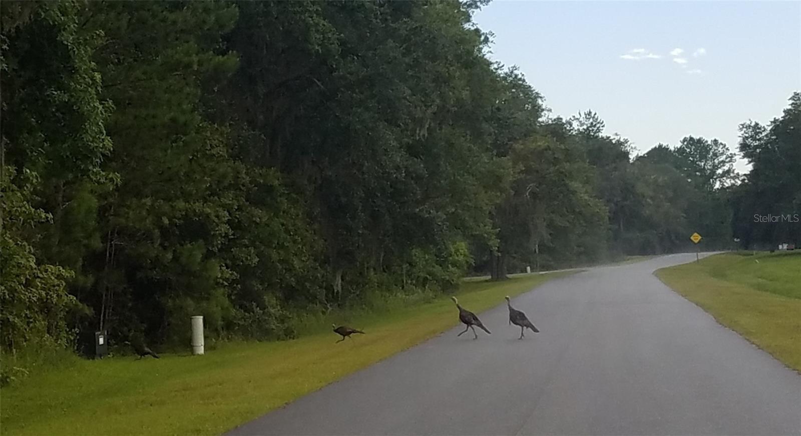 Image 4 of 9 For Tbd 148 Lane