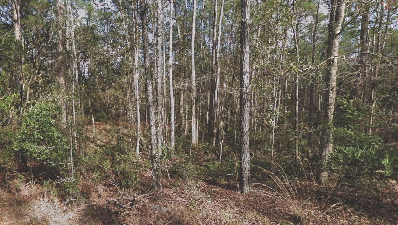 Details for 130 5th Street, PALATKA, FL 32177