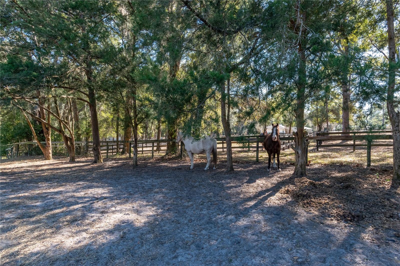 Image 42 of 55 For 26 Wood Ridge Drive