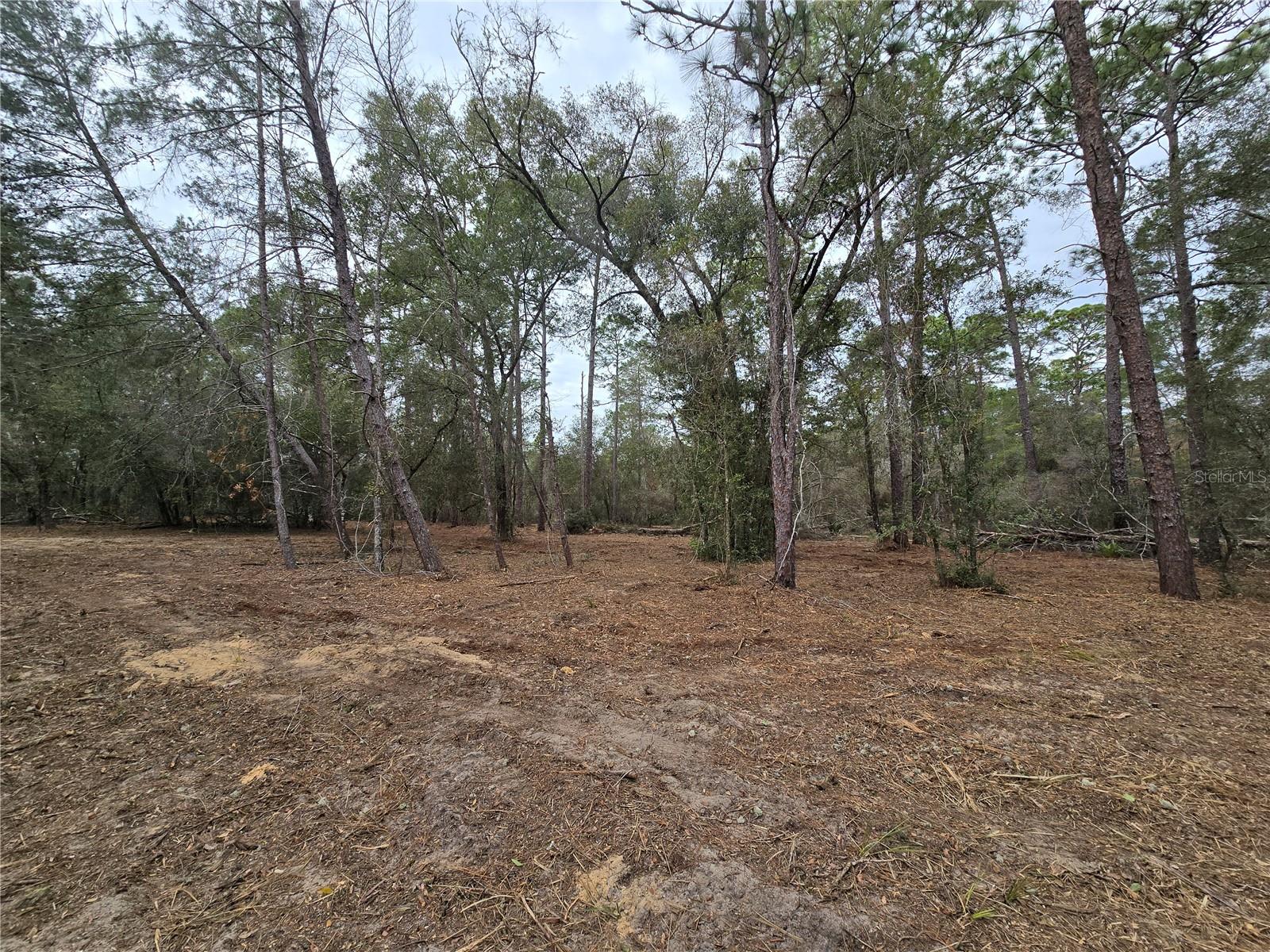 Image 10 of 19 For  Se 152nd Ln  