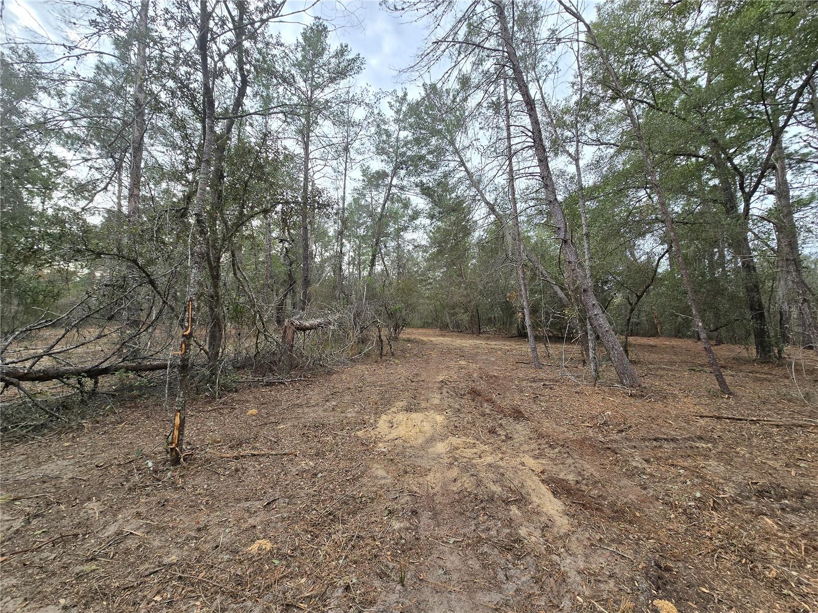 Image 12 of 19 For  Se 152nd Ln  