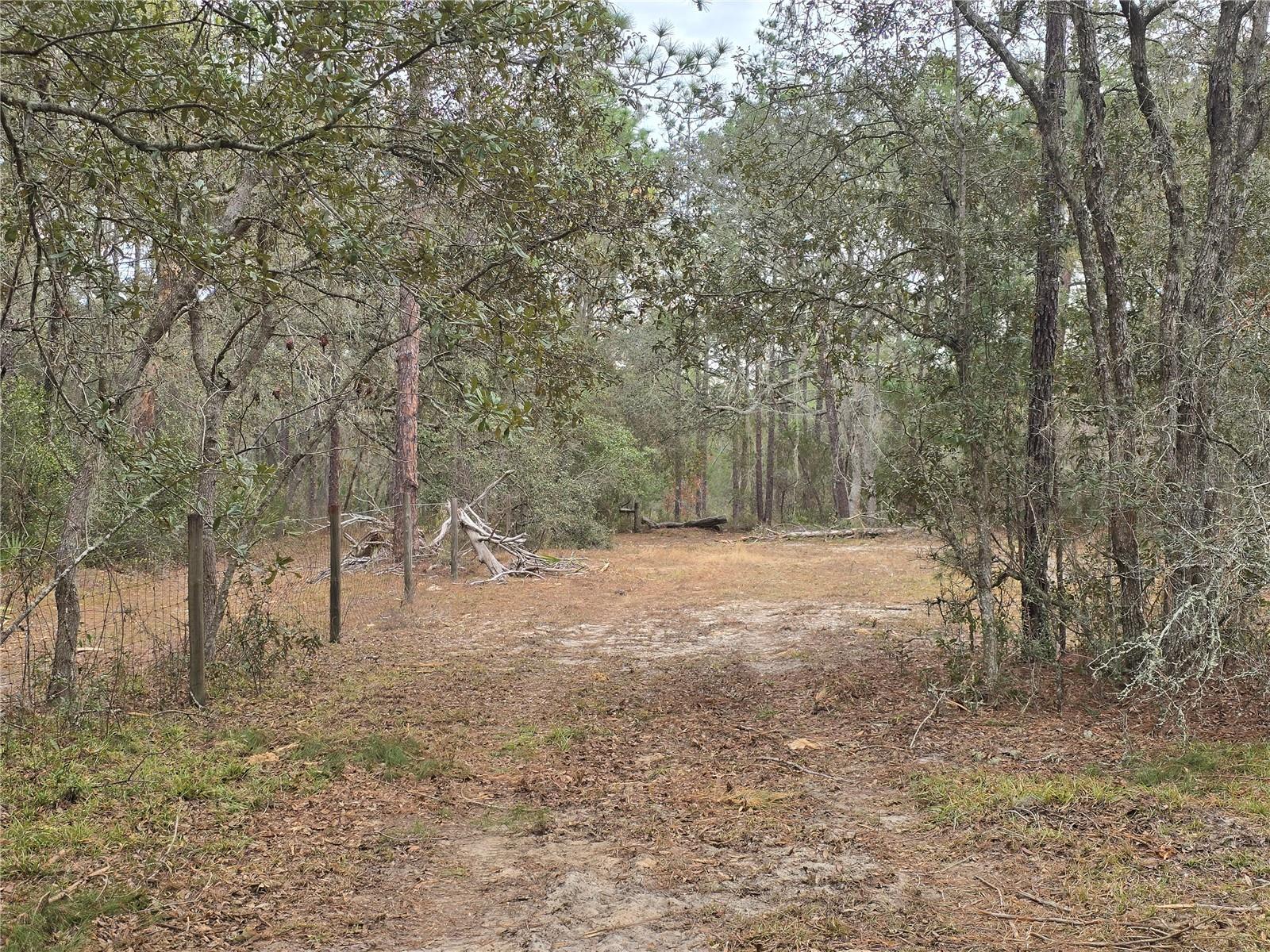 Image 14 of 19 For  Se 152nd Ln  