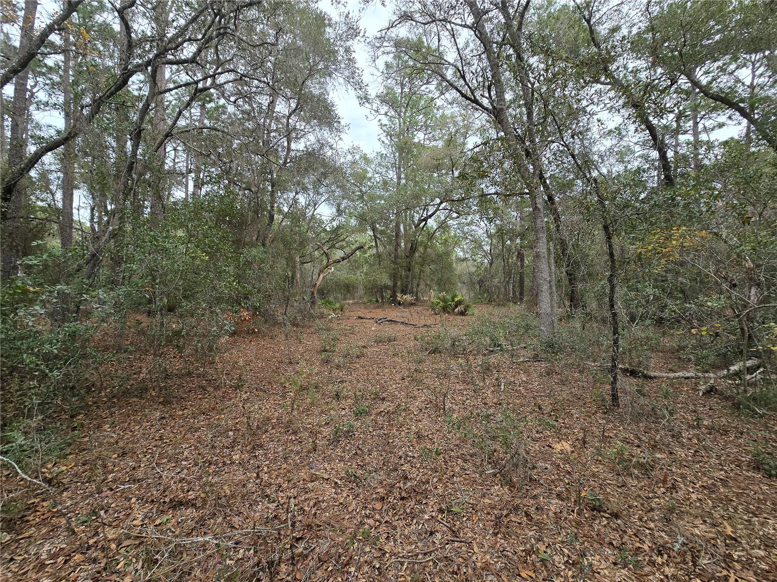 Image 16 of 19 For  Se 152nd Ln  