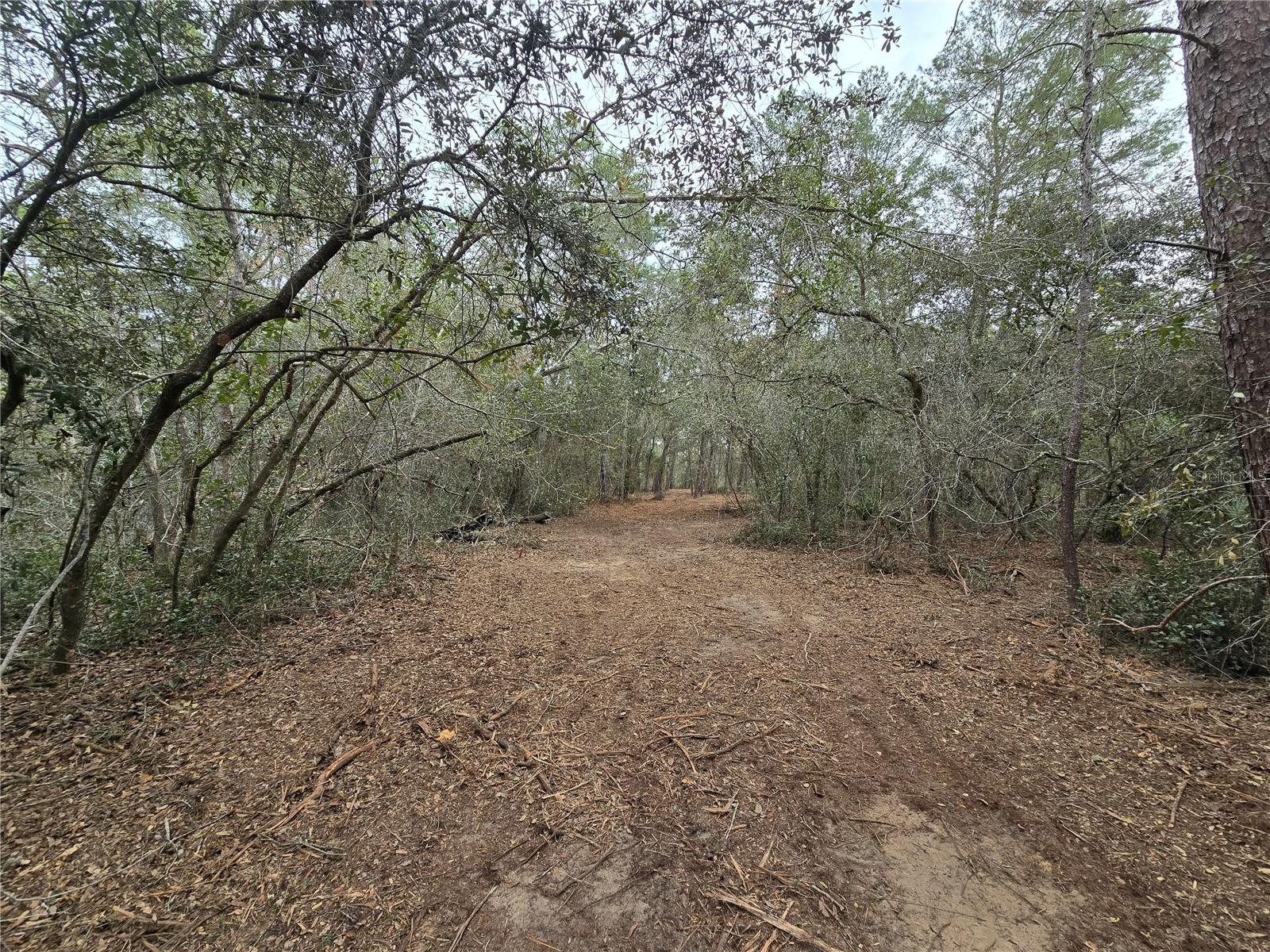 Image 2 of 19 For  Se 152nd Ln  