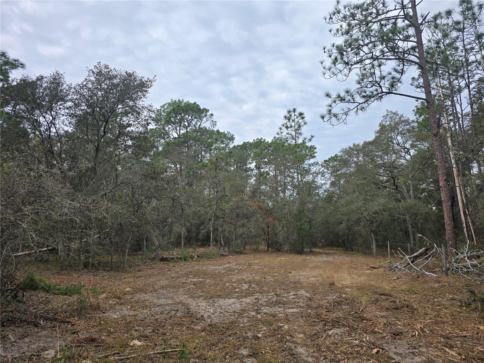 Image 3 of 19 For  Se 152nd Ln  