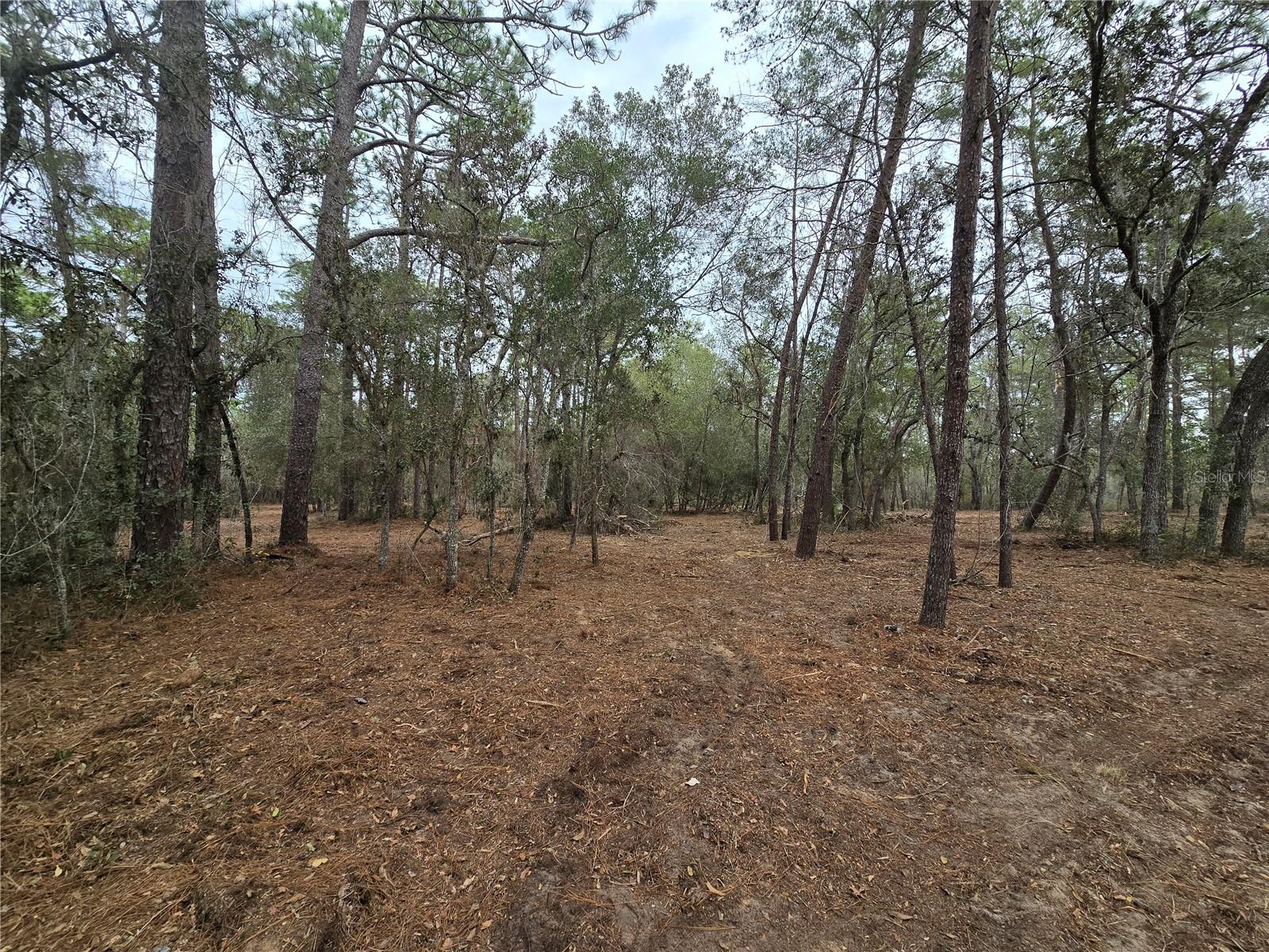 Image 4 of 19 For  Se 152nd Ln  