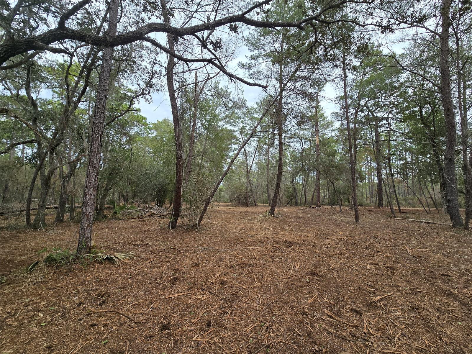 Image 6 of 19 For  Se 152nd Ln  