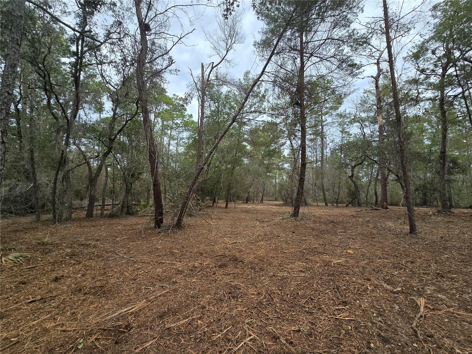 Image 7 of 19 For  Se 152nd Ln  