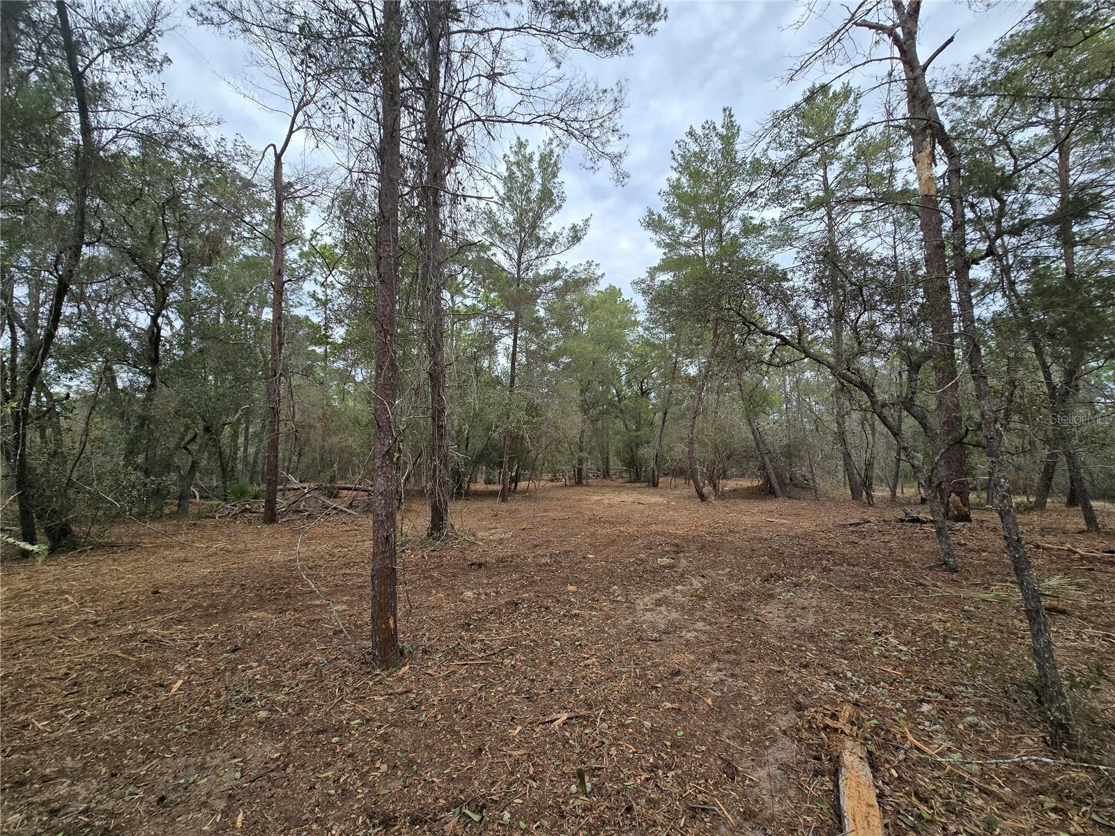 Image 8 of 19 For  Se 152nd Ln  