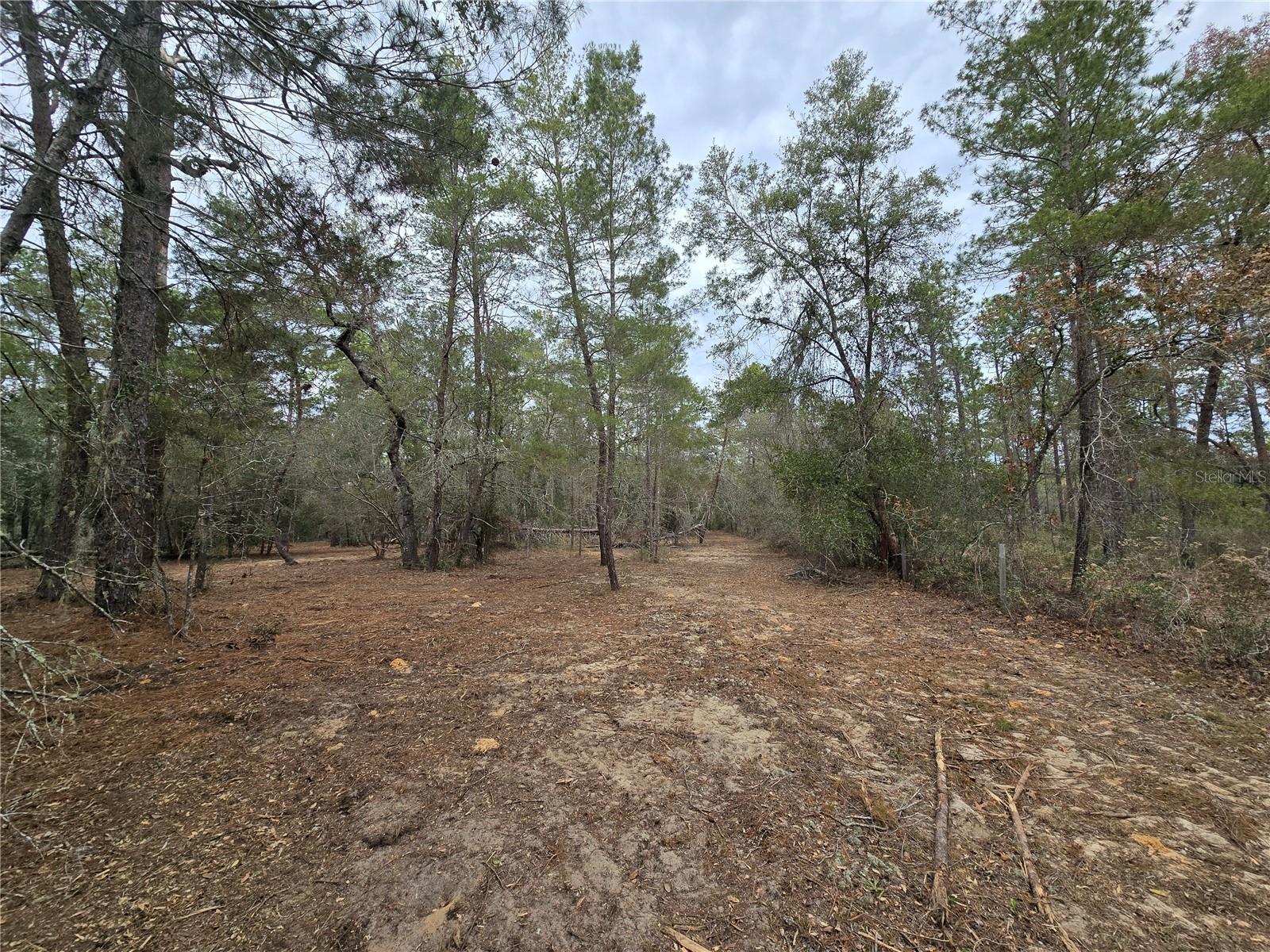 Image 9 of 19 For  Se 152nd Ln  