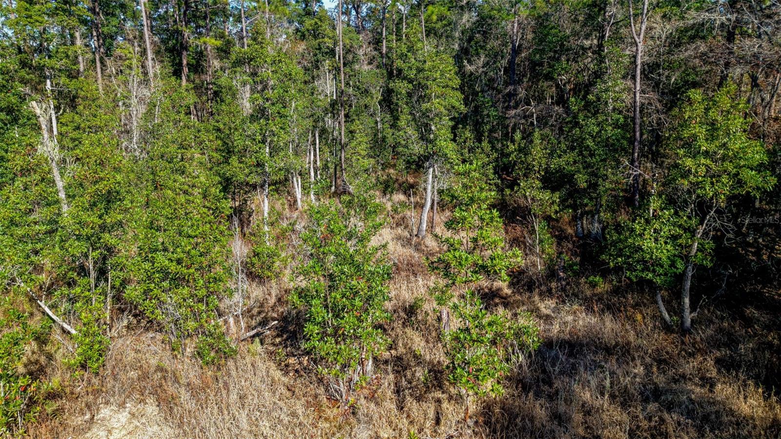 Image 13 of 29 For Off 212th Ln