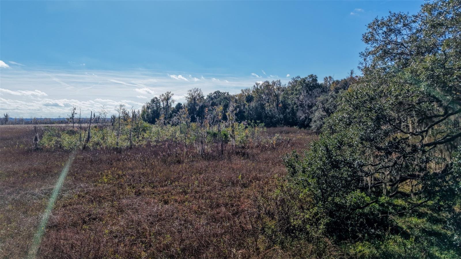 Image 15 of 29 For Off 212th Ln