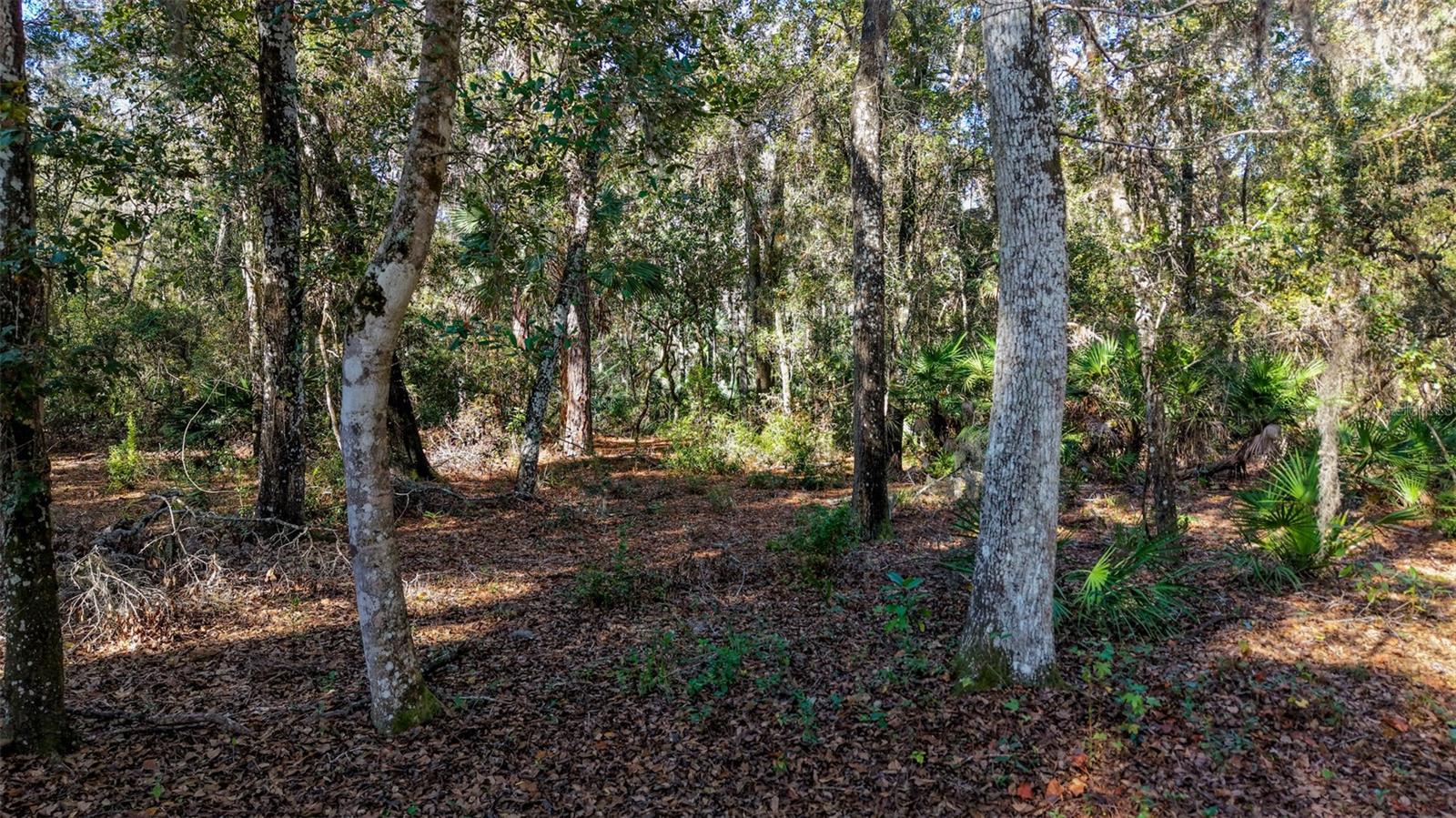 Image 17 of 29 For Off 212th Ln