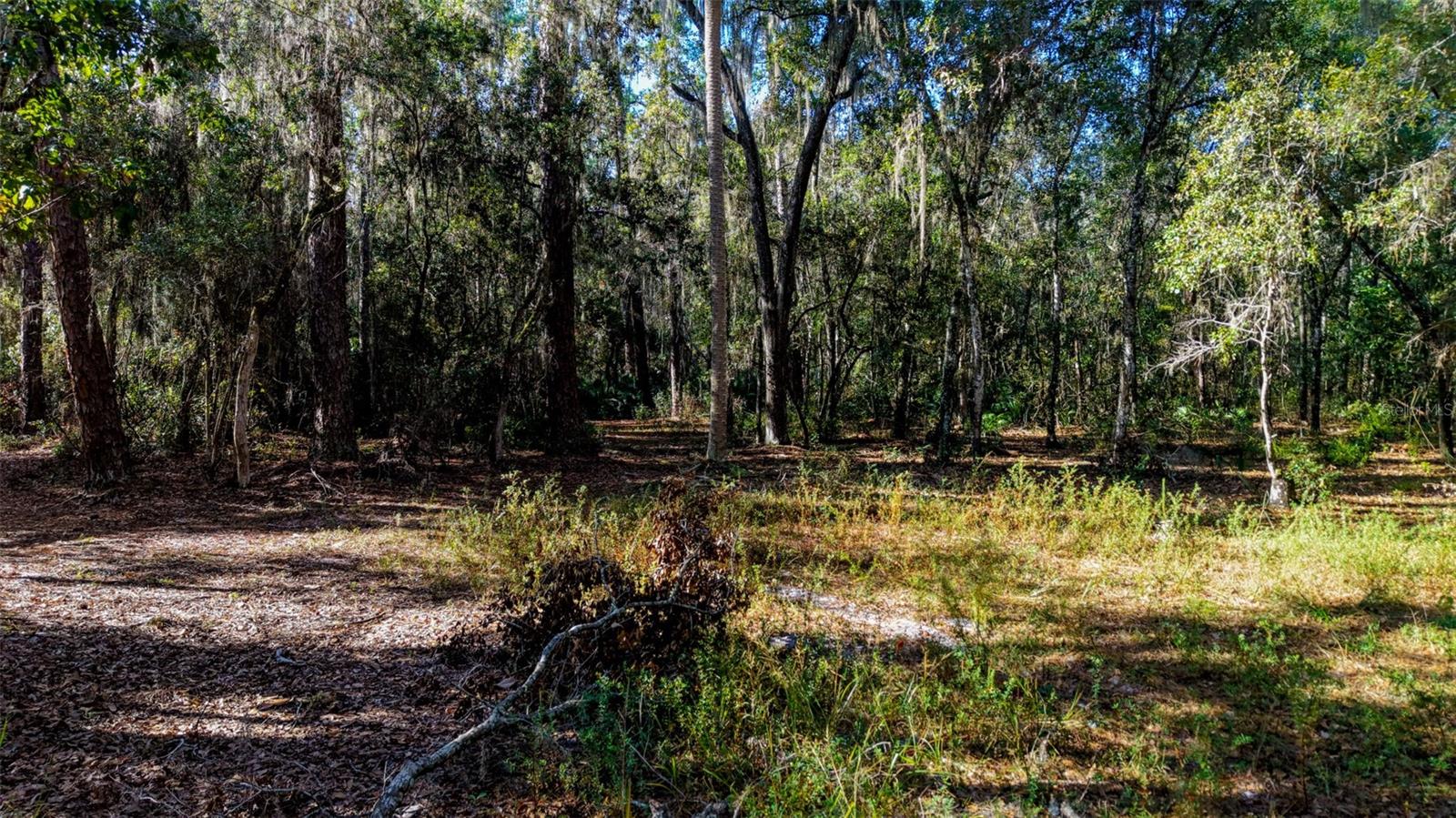 Image 18 of 29 For Off 212th Ln