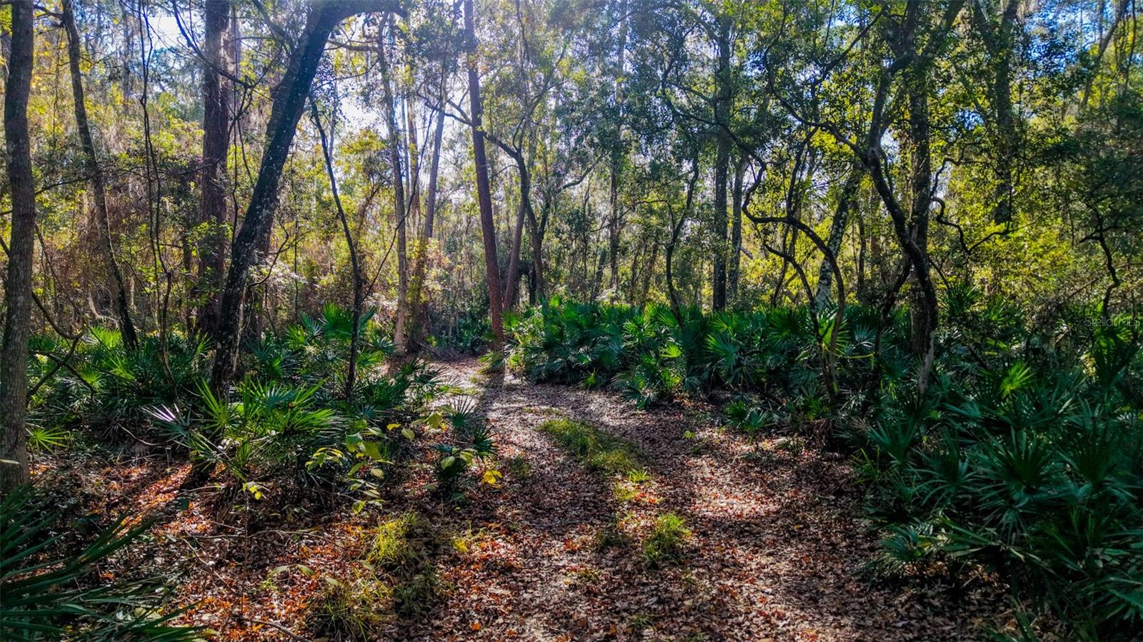 Image 2 of 29 For Off 212th Ln