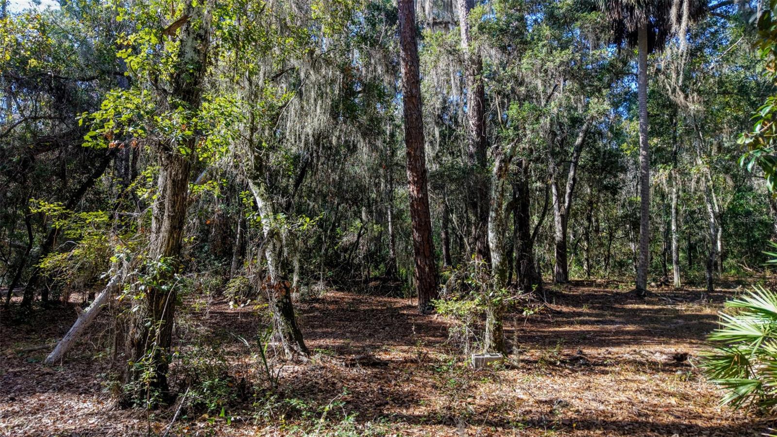 Image 27 of 29 For Off 212th Ln