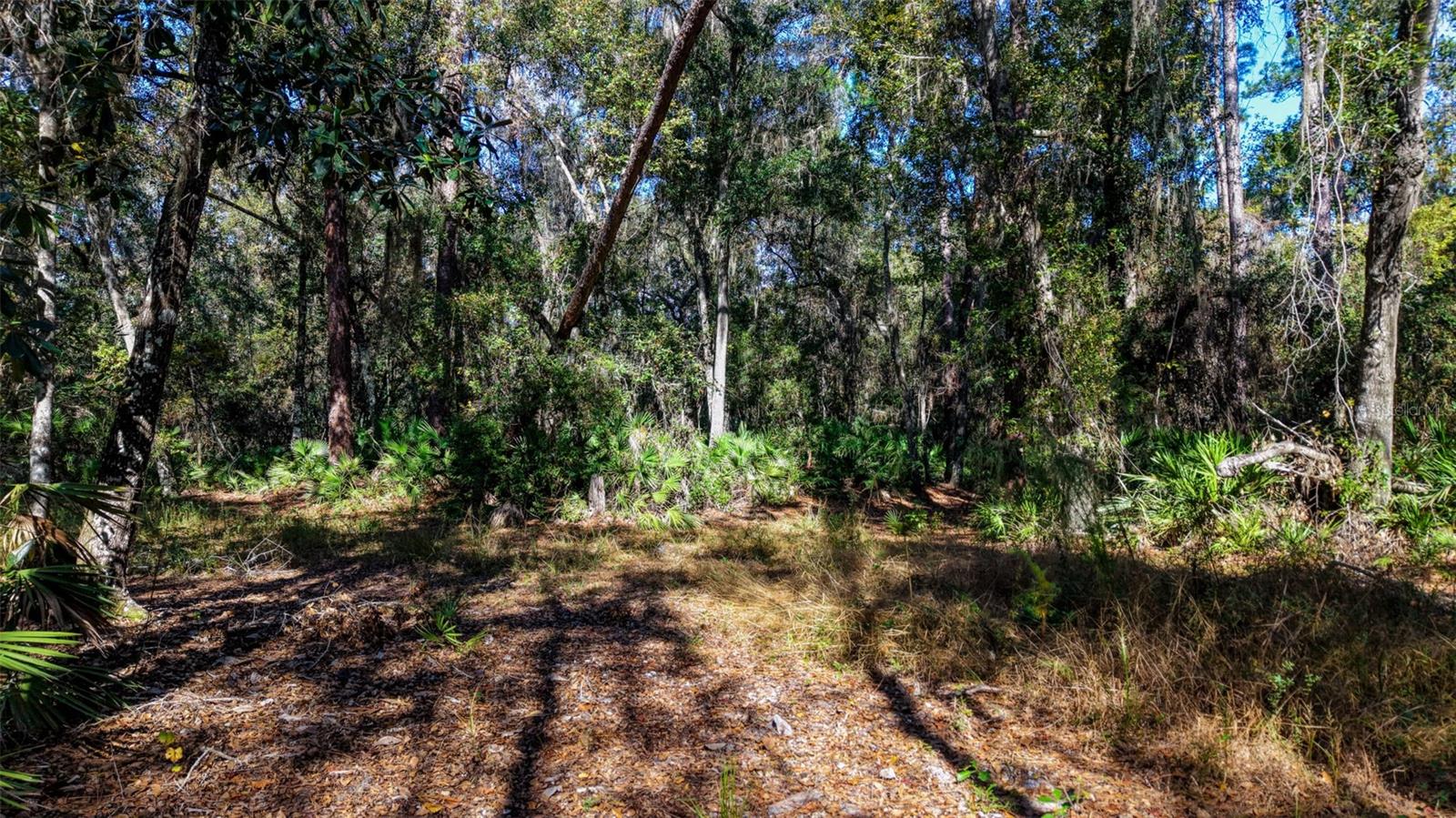 Image 28 of 29 For Off 212th Ln