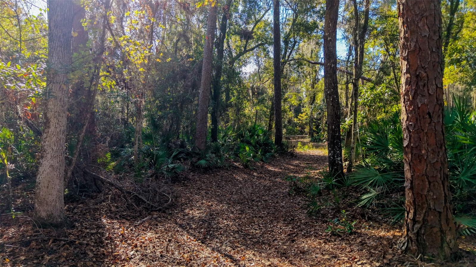 Image 3 of 29 For Off 212th Ln