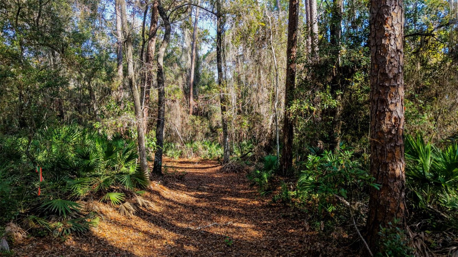 Image 4 of 29 For Off 212th Ln