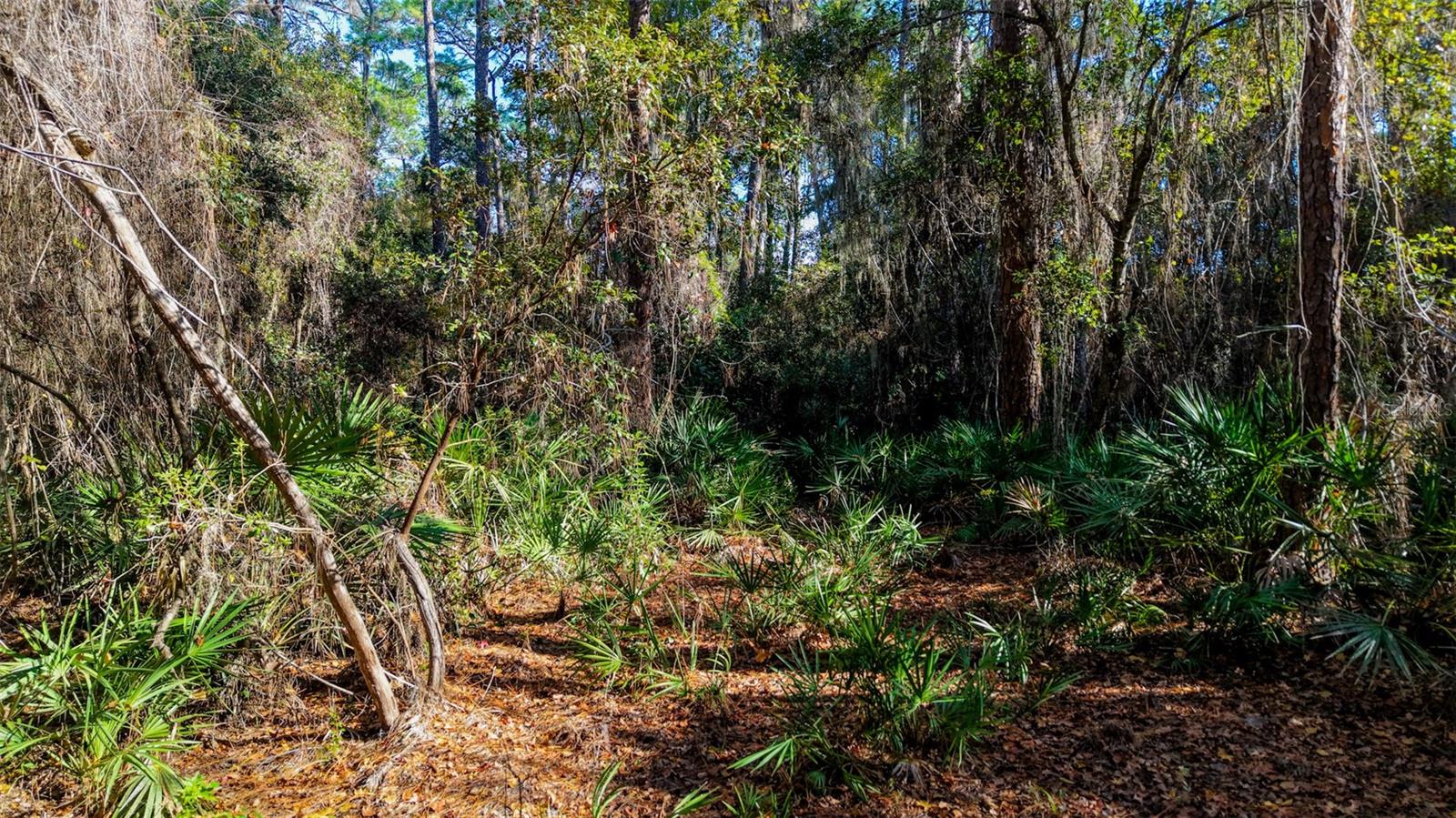 Image 5 of 29 For Off 212th Ln