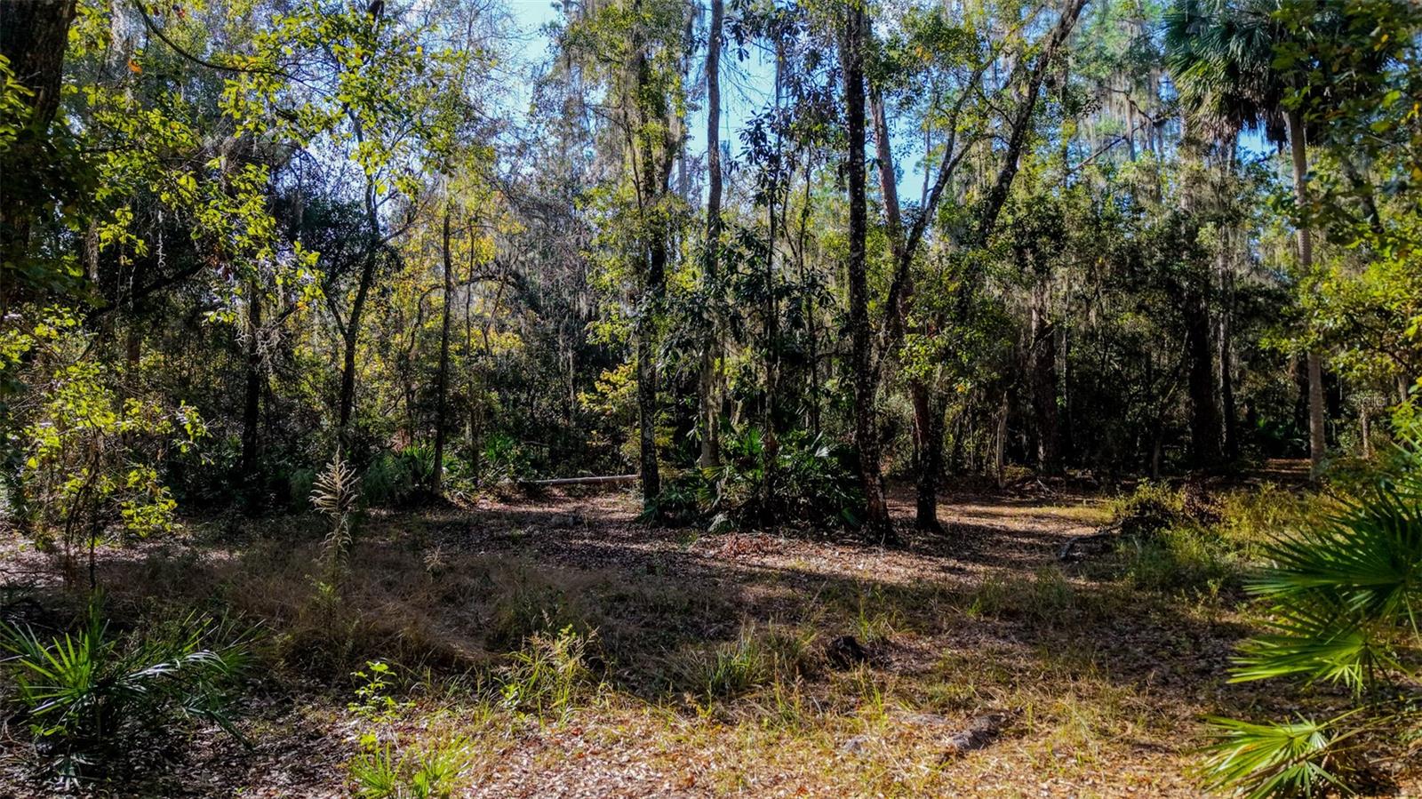 Image 9 of 29 For Off 212th Ln