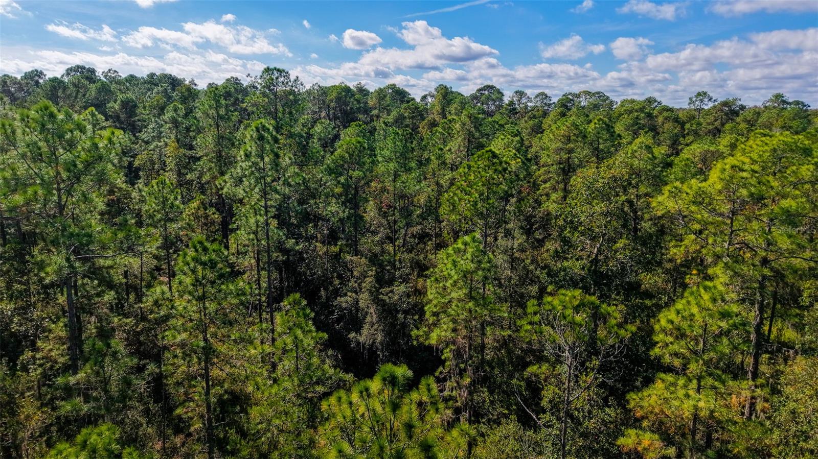 Image 10 of 36 For  Off Hwy 325  