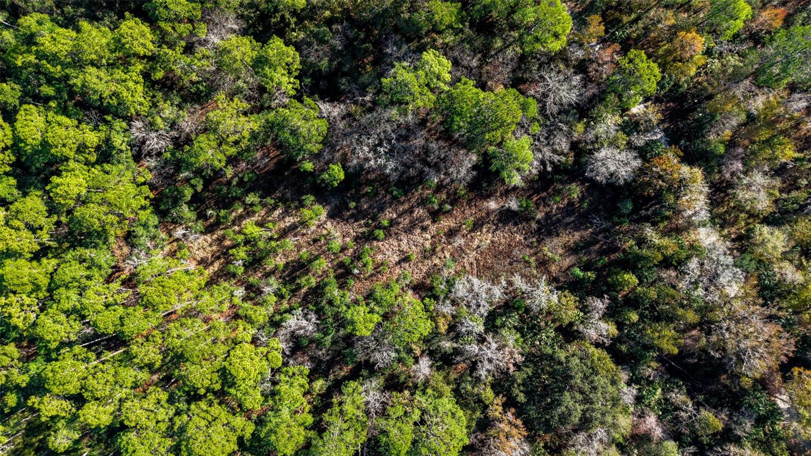 Image 12 of 36 For  Off Hwy 325  