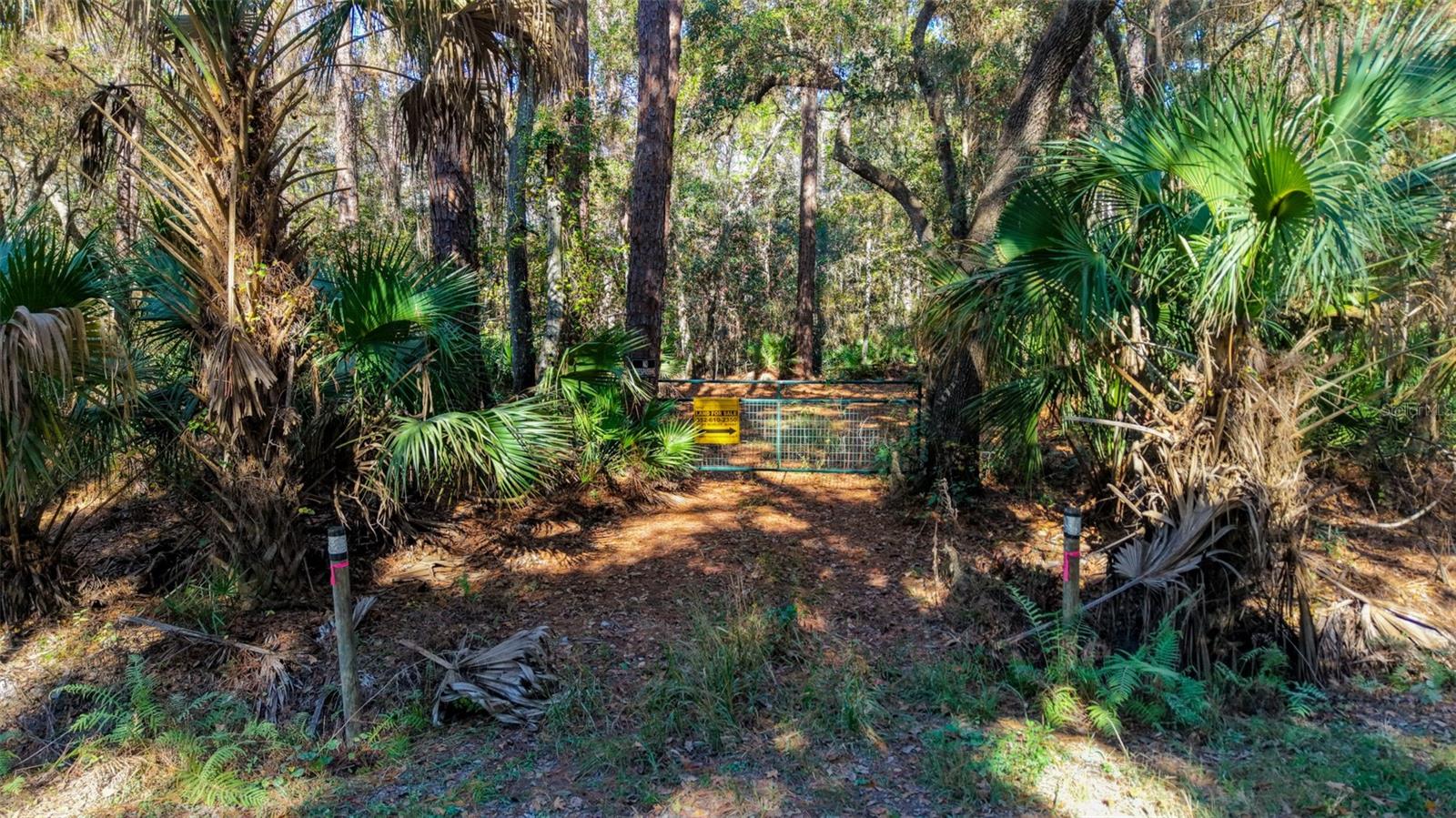 Image 19 of 36 For  Off Hwy 325  