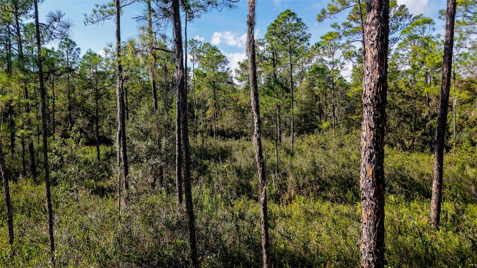 Image 23 of 36 For  Off Hwy 325  