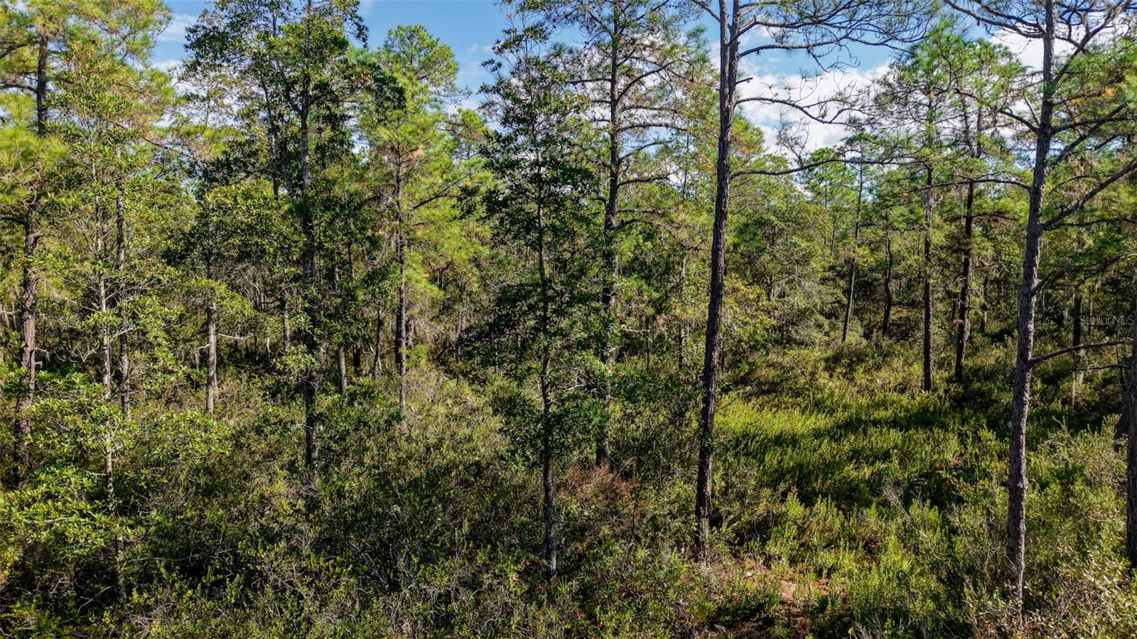 Image 24 of 36 For  Off Hwy 325  