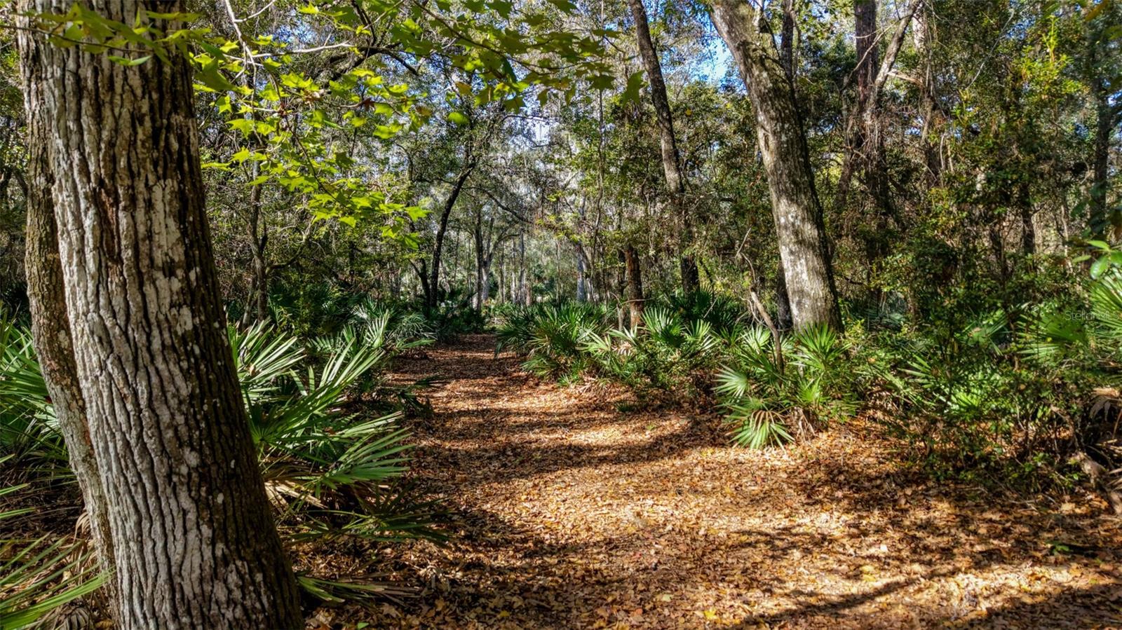 Image 3 of 36 For  Off Hwy 325  