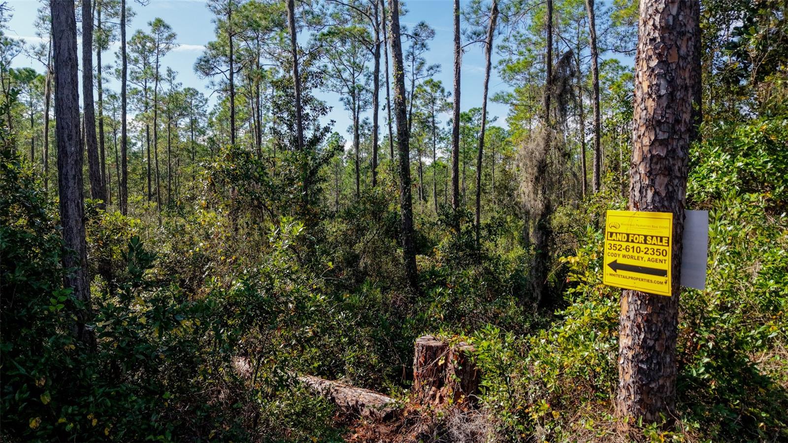 Image 31 of 36 For  Off Hwy 325  